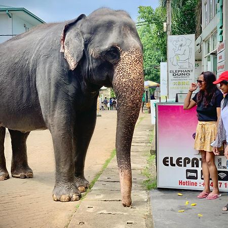 Elepath Lodge- Pinnawala Pinnawala  Dış mekan fotoğraf