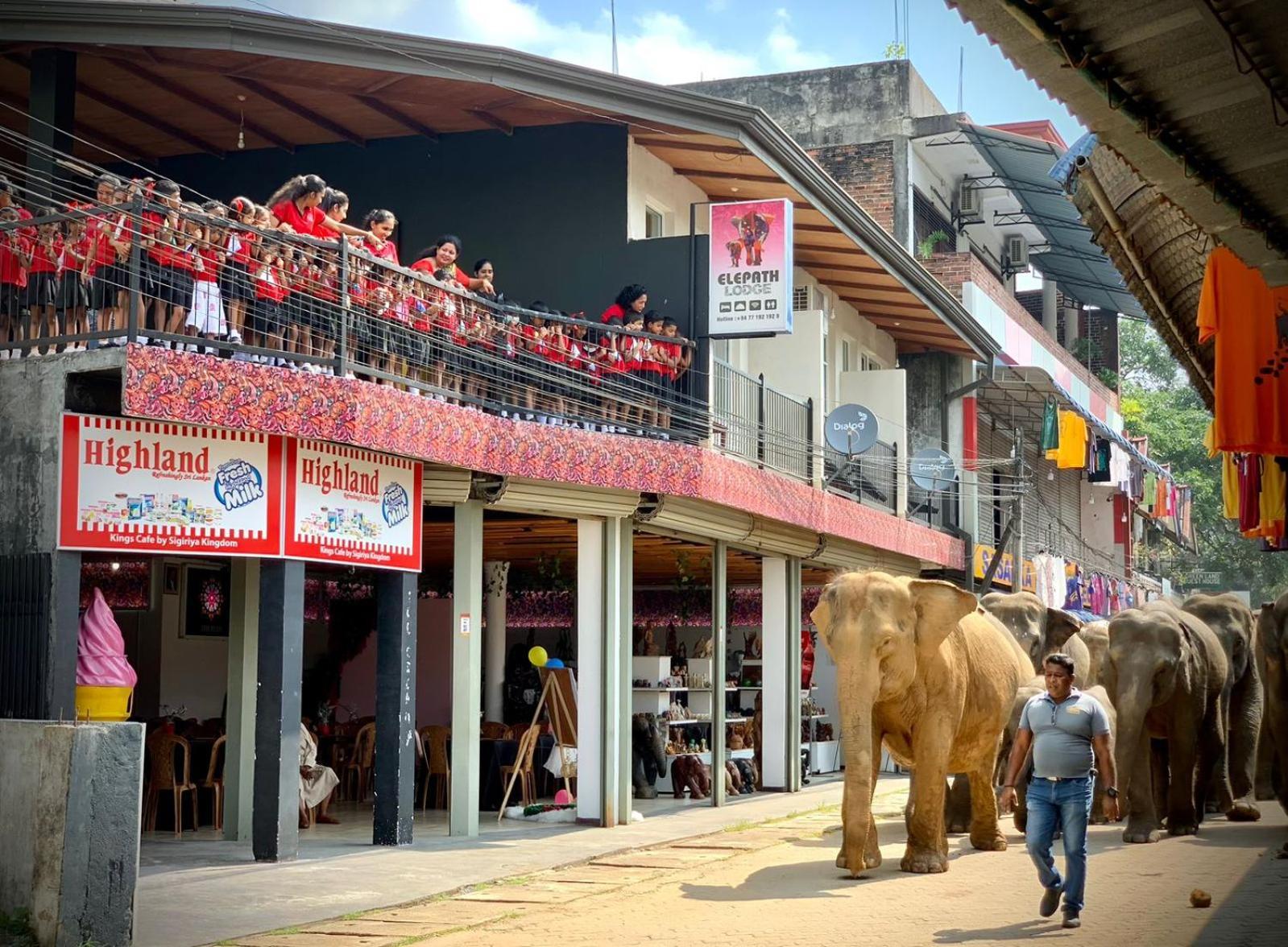 Elepath Lodge- Pinnawala Pinnawala  Dış mekan fotoğraf
