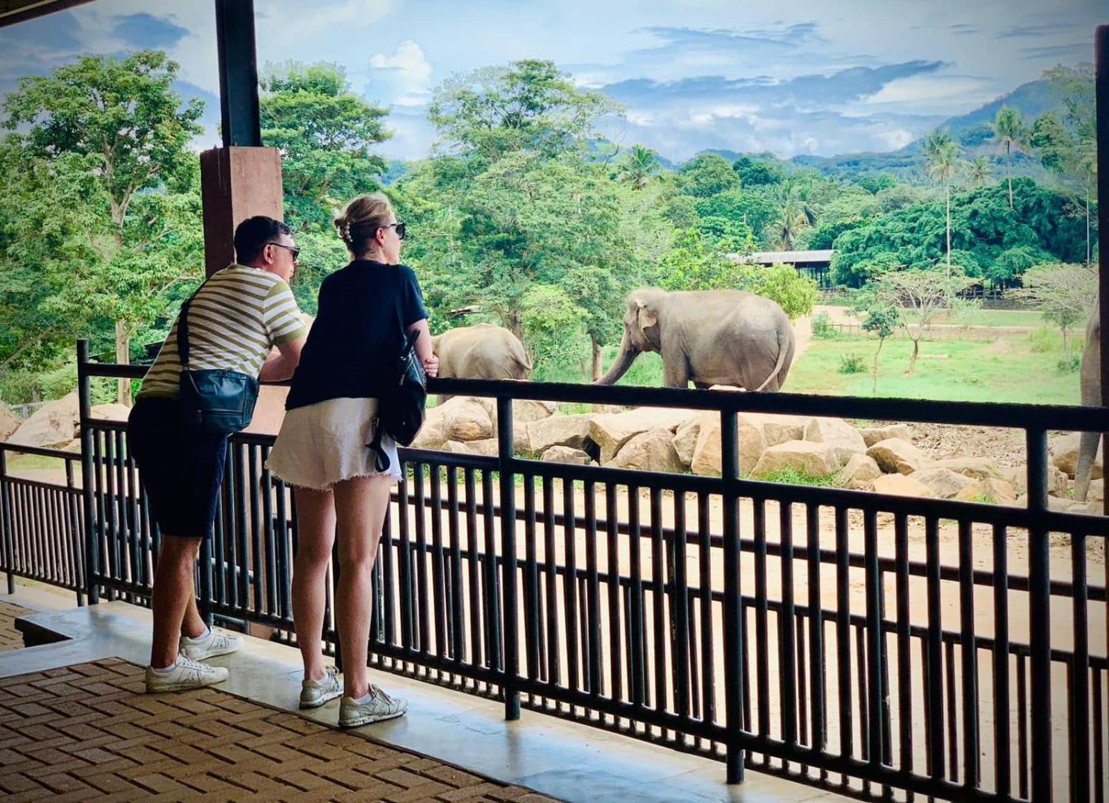 Elepath Lodge- Pinnawala Pinnawala  Dış mekan fotoğraf