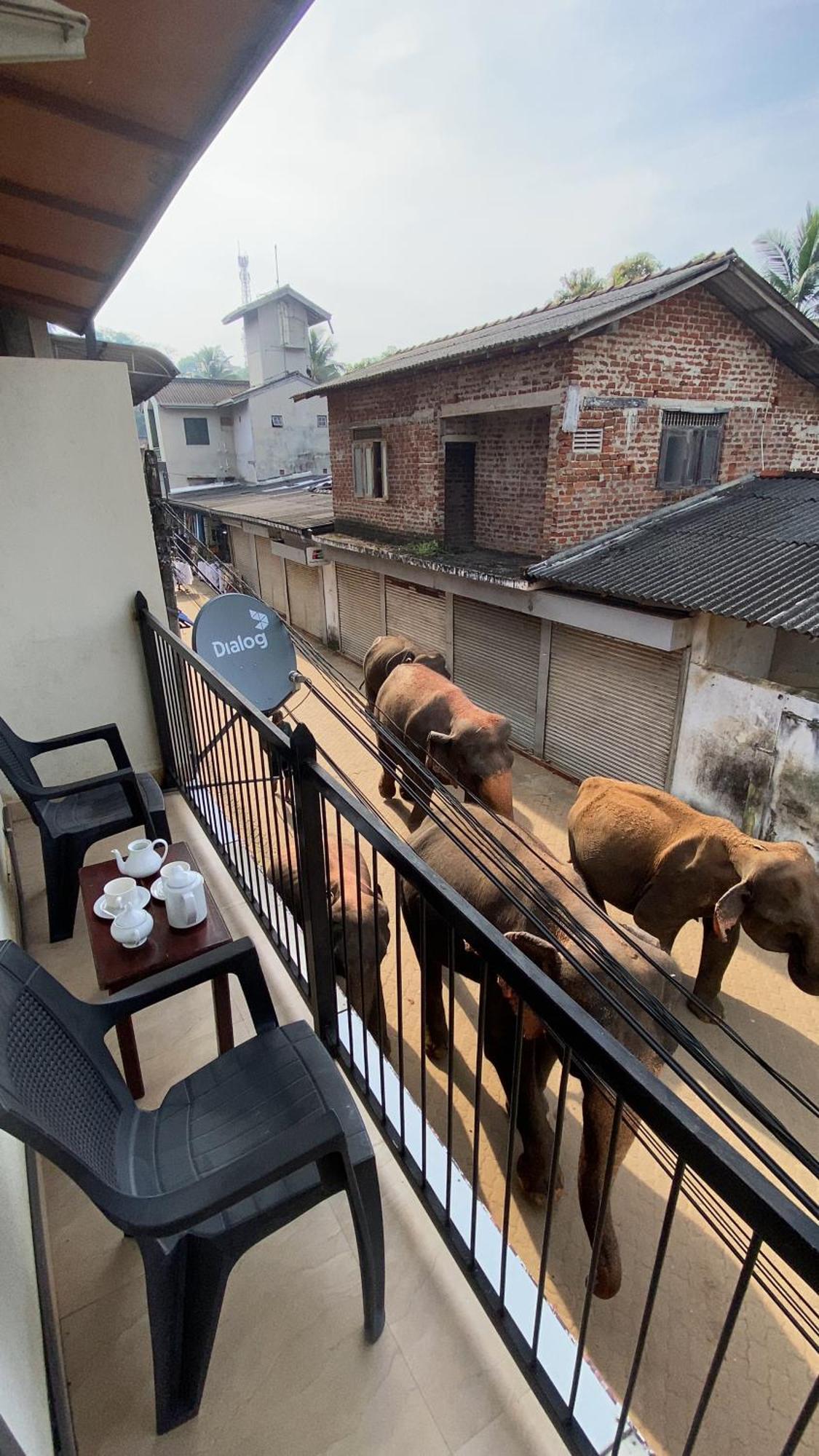 Elepath Lodge- Pinnawala Pinnawala  Dış mekan fotoğraf